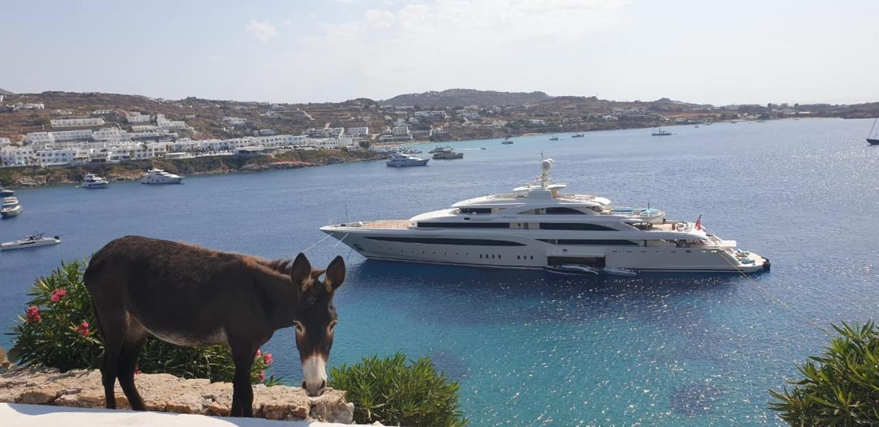 Mykonos Azure Aparthotel Psarou  Exterior photo
